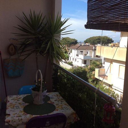 Dolce Casa Di Elena Apartment เน็ตตูโน ห้อง รูปภาพ